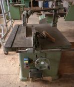 1 x Wadkin Bursgreen 24" Bsw Ripsaw - 3 Phase - Ref: CNT215 - CL846 - Location: Oxford OX2This lot