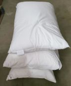 Set Of 12 x Assorted High Quality Feather and Conjugated Fiber Pillows of Various Sizes