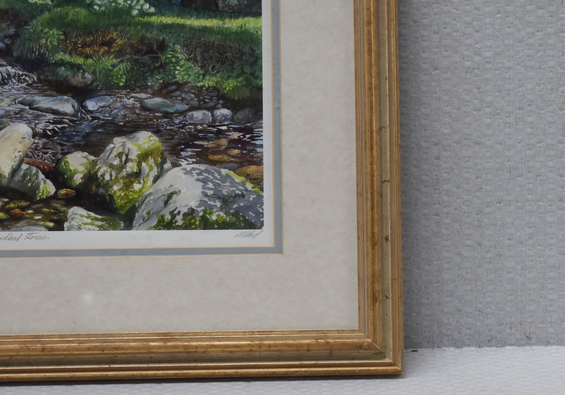 1 x LIMITED EDITION Framed Print By Artist M.Wood, 'Woodland Stream' - Image 9 of 18