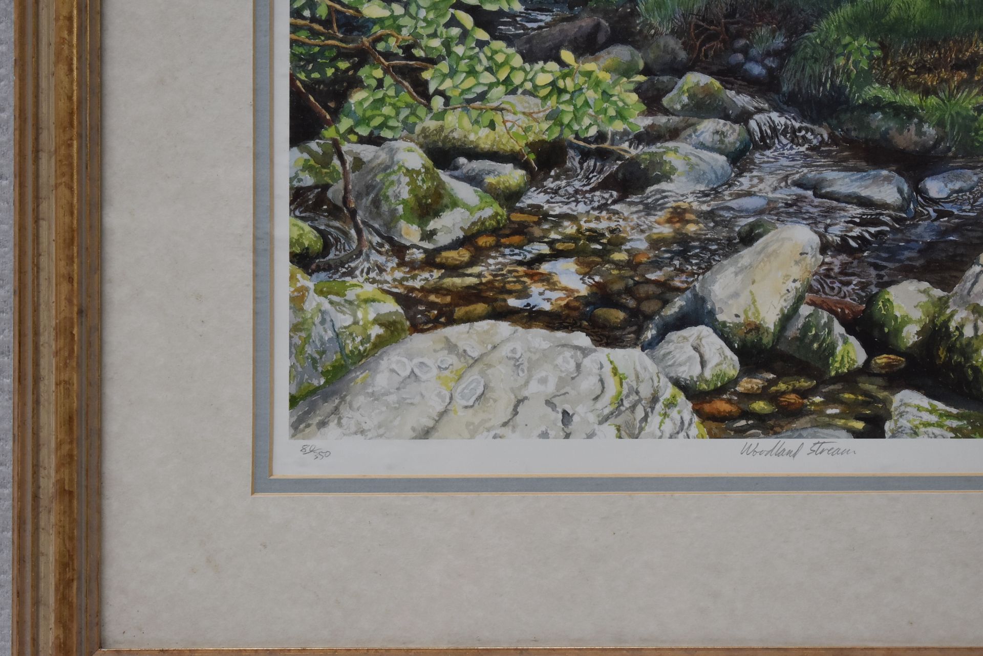 1 x LIMITED EDITION Framed Print By Artist M.Wood, 'Woodland Stream' - Image 7 of 18