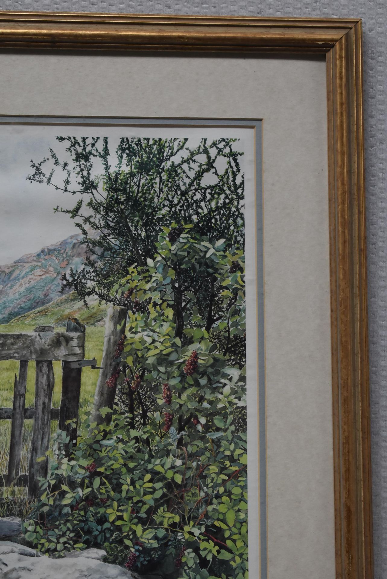 1 x LIMITED EDITION Framed Print  By Artist M. Wood, 'Weathered Gate' - Image 5 of 12