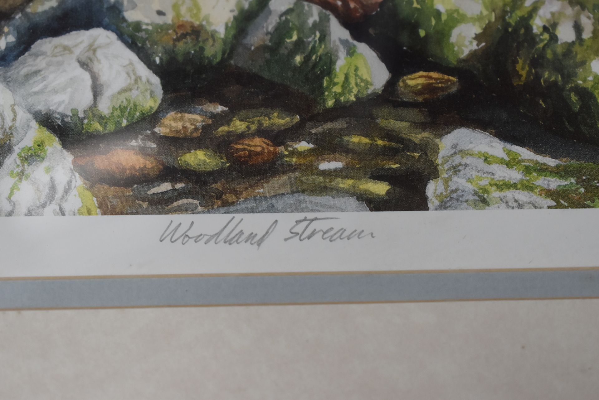 1 x LIMITED EDITION Framed Print By Artist M.Wood, 'Woodland Stream' - Image 2 of 18