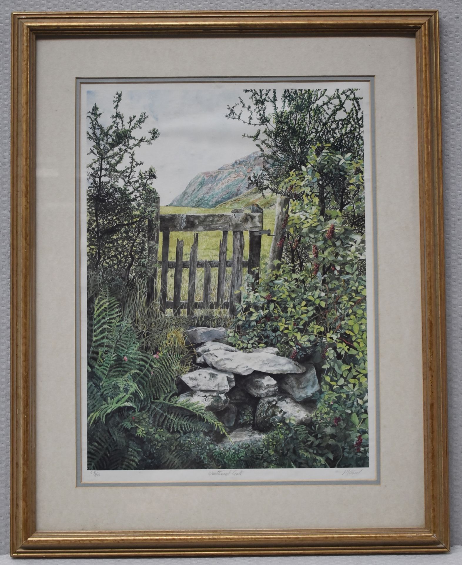 1 x LIMITED EDITION Framed Print  By Artist M. Wood, 'Weathered Gate'