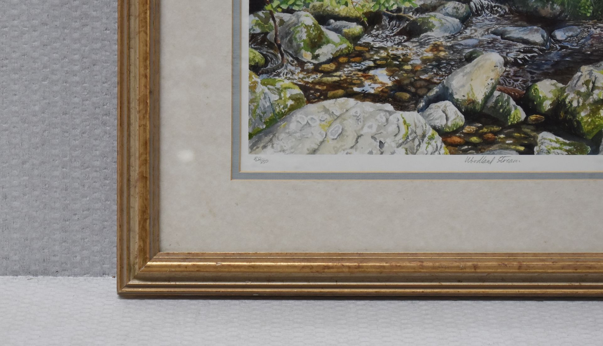 1 x LIMITED EDITION Framed Print By Artist M.Wood, 'Woodland Stream' - Image 10 of 18