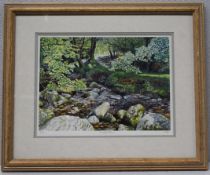 1 x LIMITED EDITION Framed Print By Artist M.Wood, 'Woodland Stream'