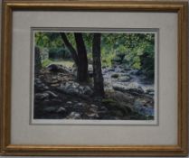 1 x  LIMITED EDITION Framed Print By Artist M. Wood , 'River Path'