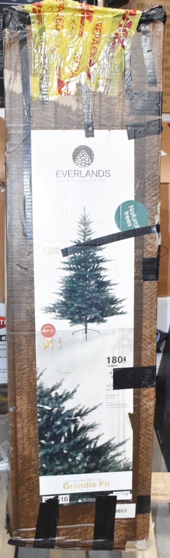 1 x EVERLANDS Green Grandis Fir Tree (6ft) - Original Price £329.99 - Ex-display / Boxed - Image 5 of 6