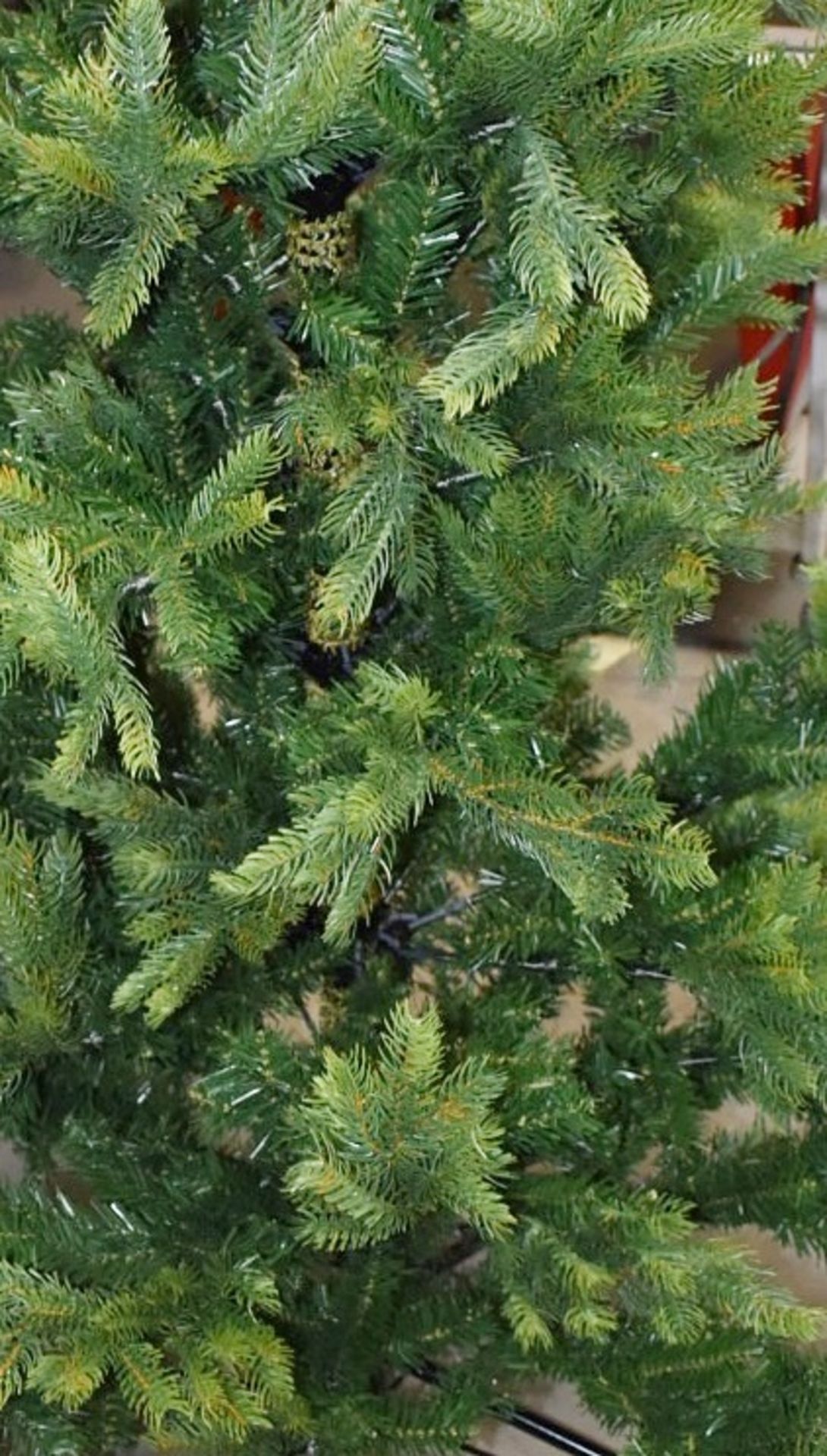 1 x EVERLANDS Green Grandis Fir Tree (6ft) - Original Price £329.99 - Ex-display / Boxed - Image 3 of 6