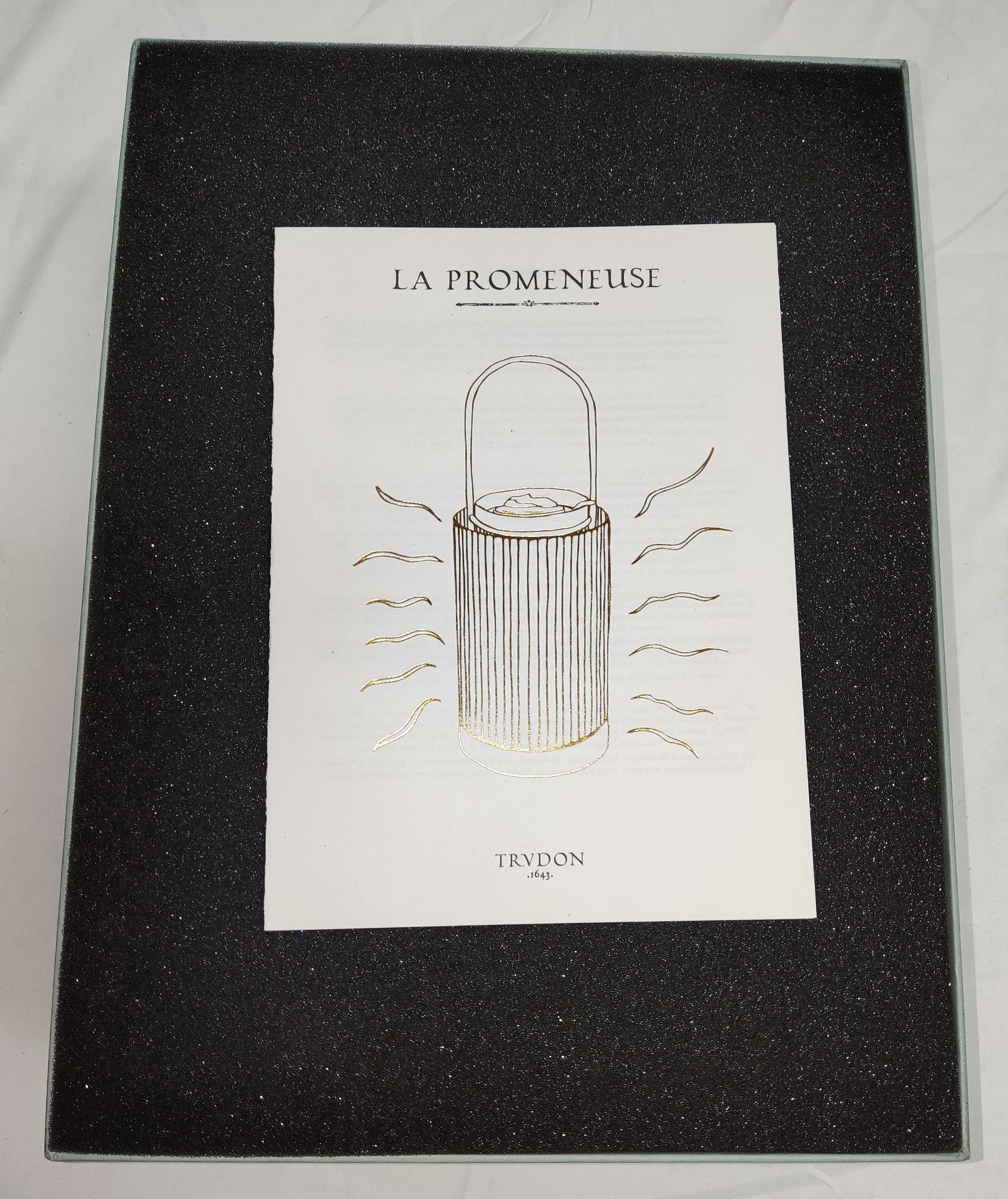 1 x TRUDON La Promeneuse Glass Diffuser - Boxed - Original RRP £320 - Ref: 5211353/HJL358/C19/07- - Image 9 of 16