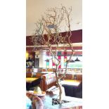 3 x Decorative Dry Tree Branches