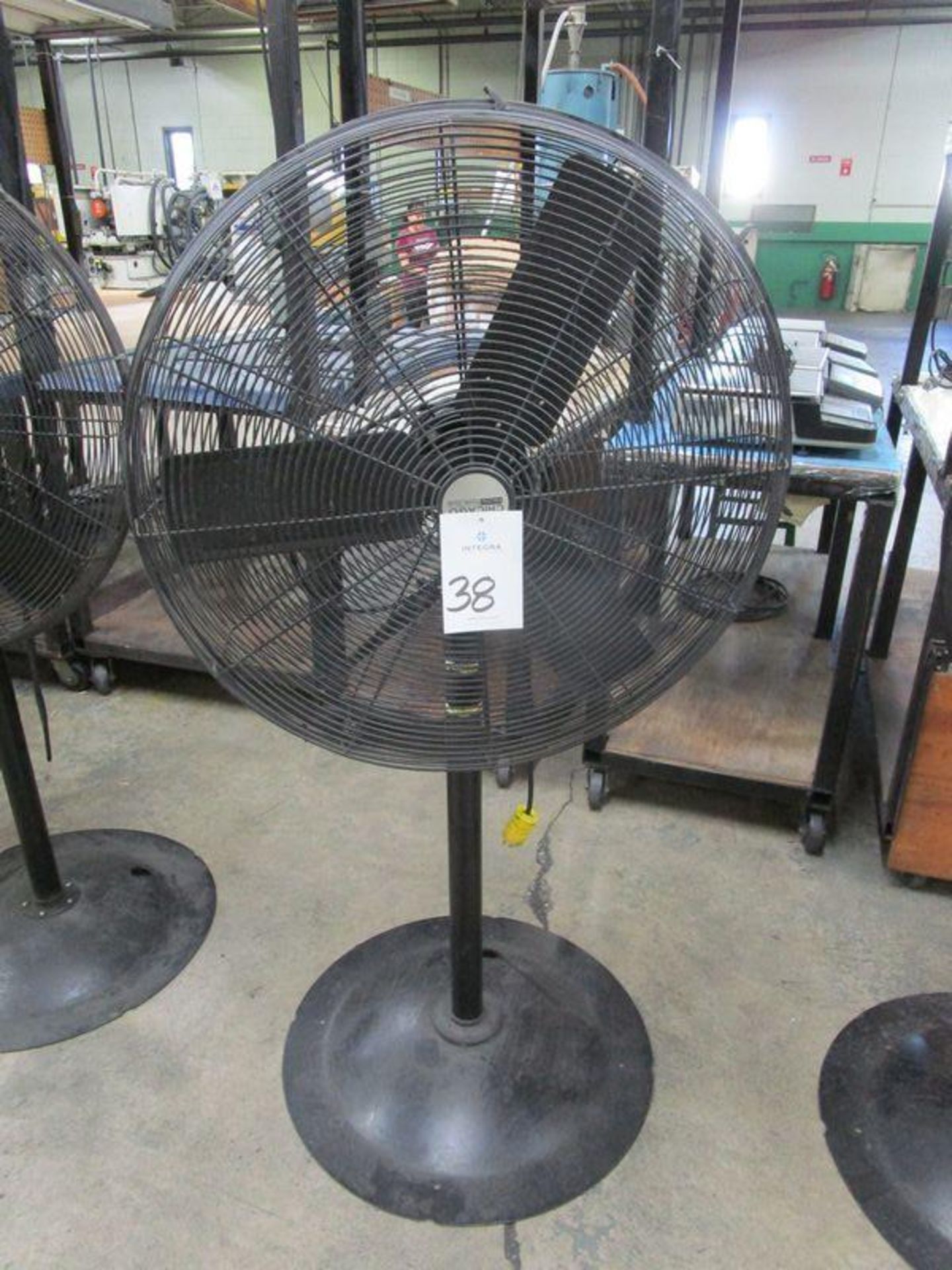 Chicago Electric HVP-30E 30" Pedestal Fan