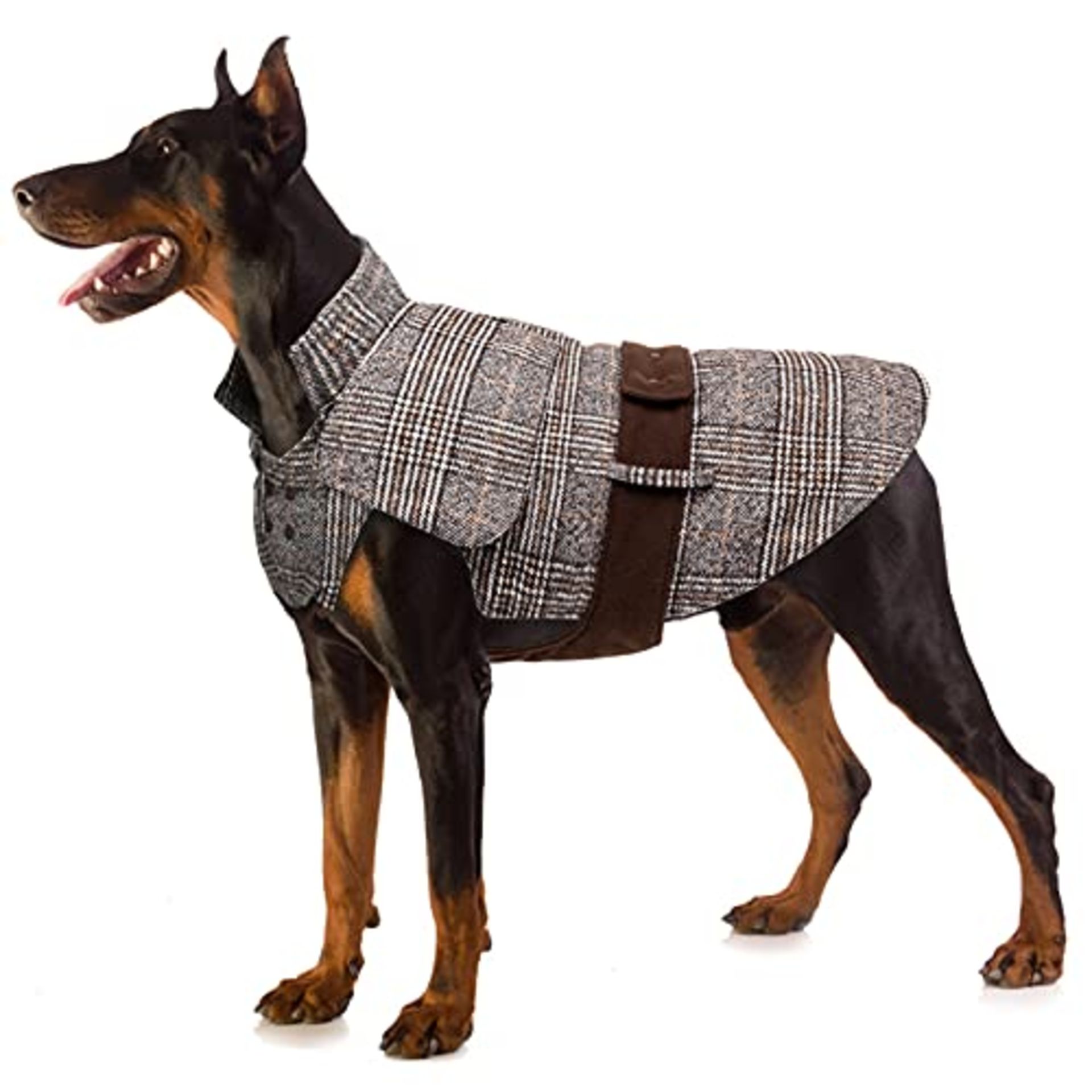 RRP £27.28 Buddypuppy Dog Coat