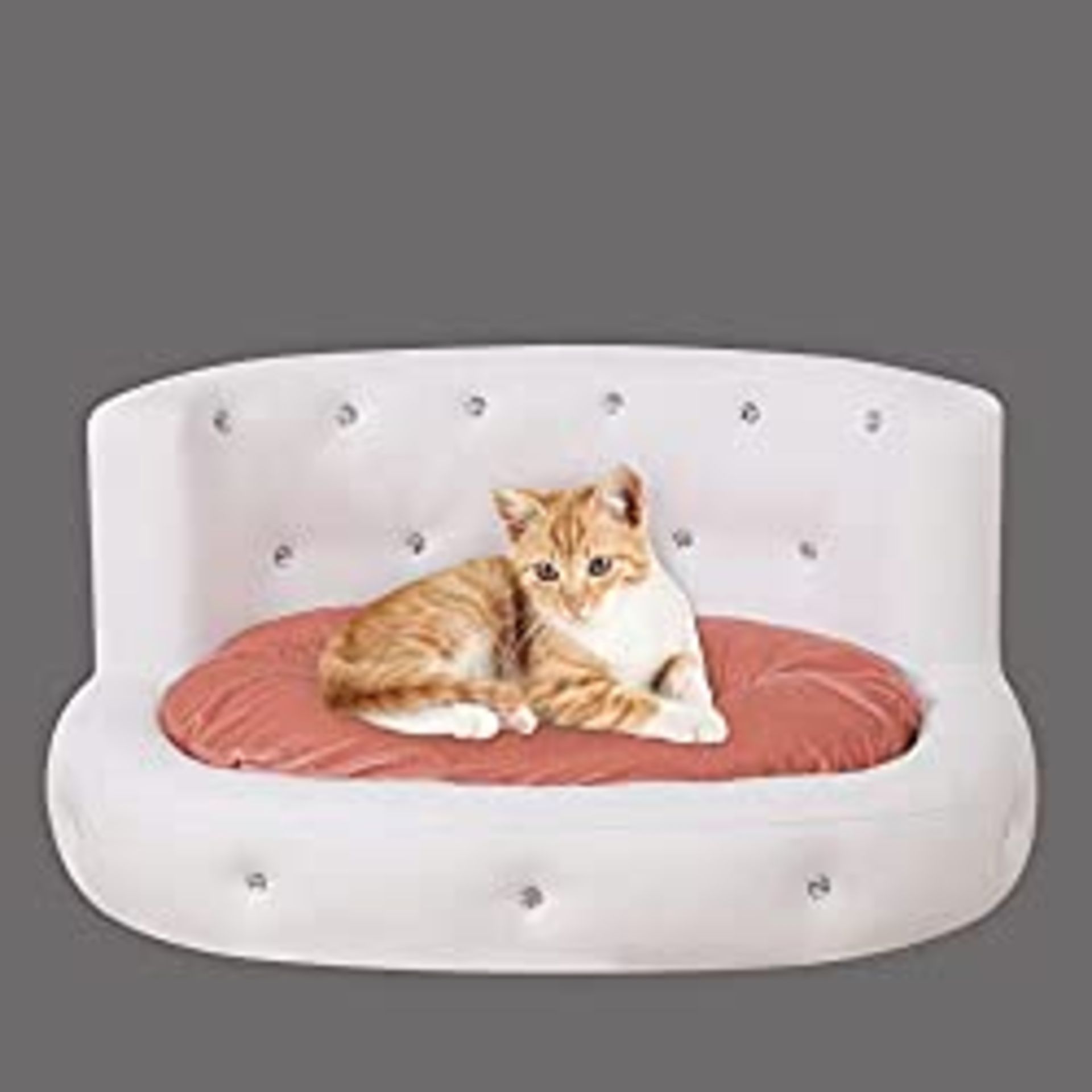 RRP £100.49 Dog sofas and Chairs with Crystal Button/Cat