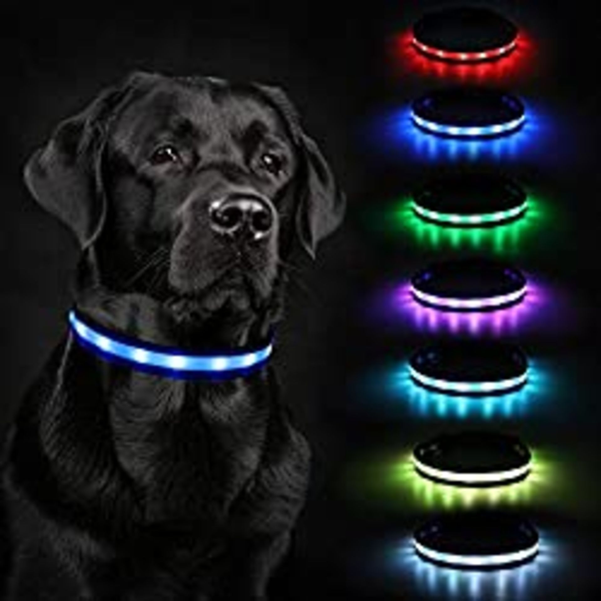 RRP £16.74 BRAND NEW STOCK HAOPINSH LED Dog Collar