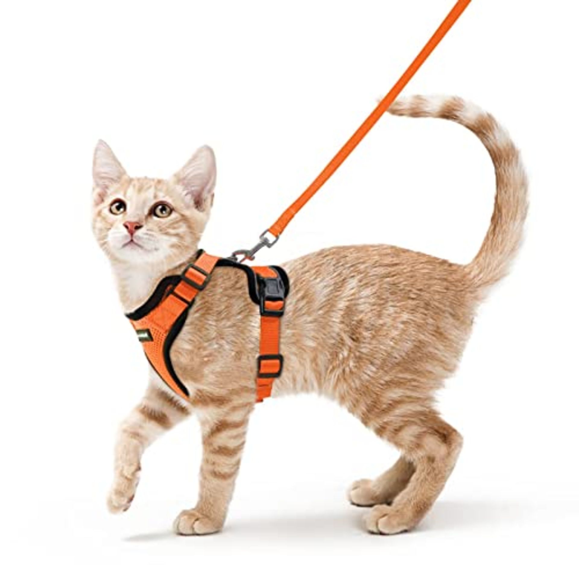 RRP £19.91 rabbitgoo Escape-Proof Cat Kitten Harness with Leash Set for Walking