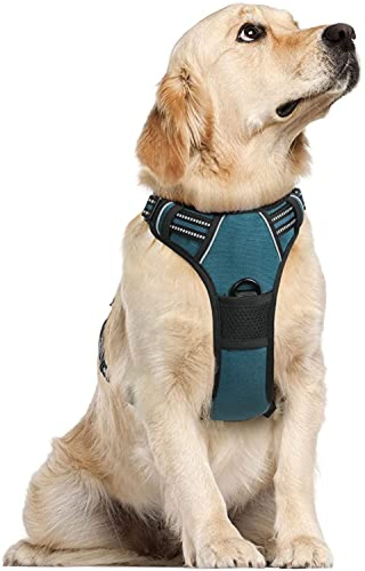 RRP £26.79 rabbitgoo Dog Harness Large Dog No Pull Pet Harness with 2 Leash Clips