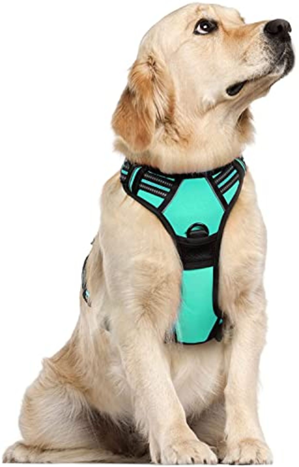 RRP £28.88 rabbitgoo Dog Harness Large Dog No Pull Pet Harness with 2 Leash Clips