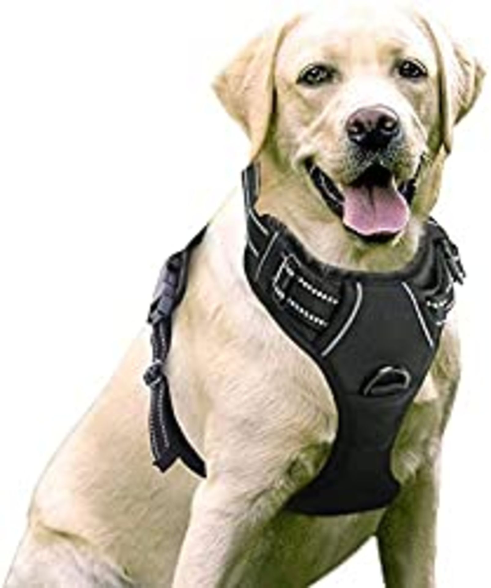 RRP £21.51 rabbitgoo Dog Harness Large Dog No Pull Pet Harness with 2 Leash Clips
