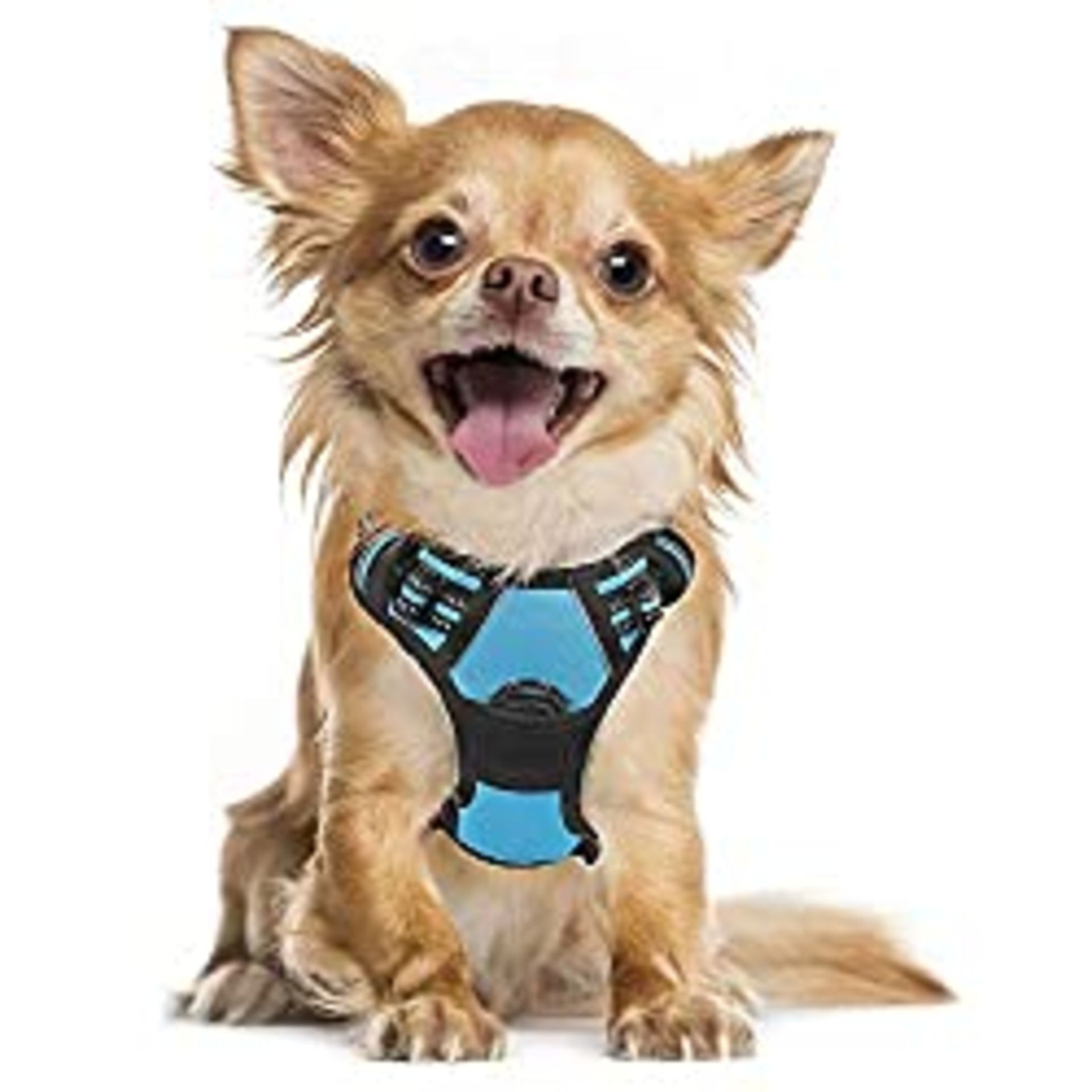 RRP £24.75 rabbitgoo Dog Harness Small Dog No Pull Pet Harness with 2 Leash Clips