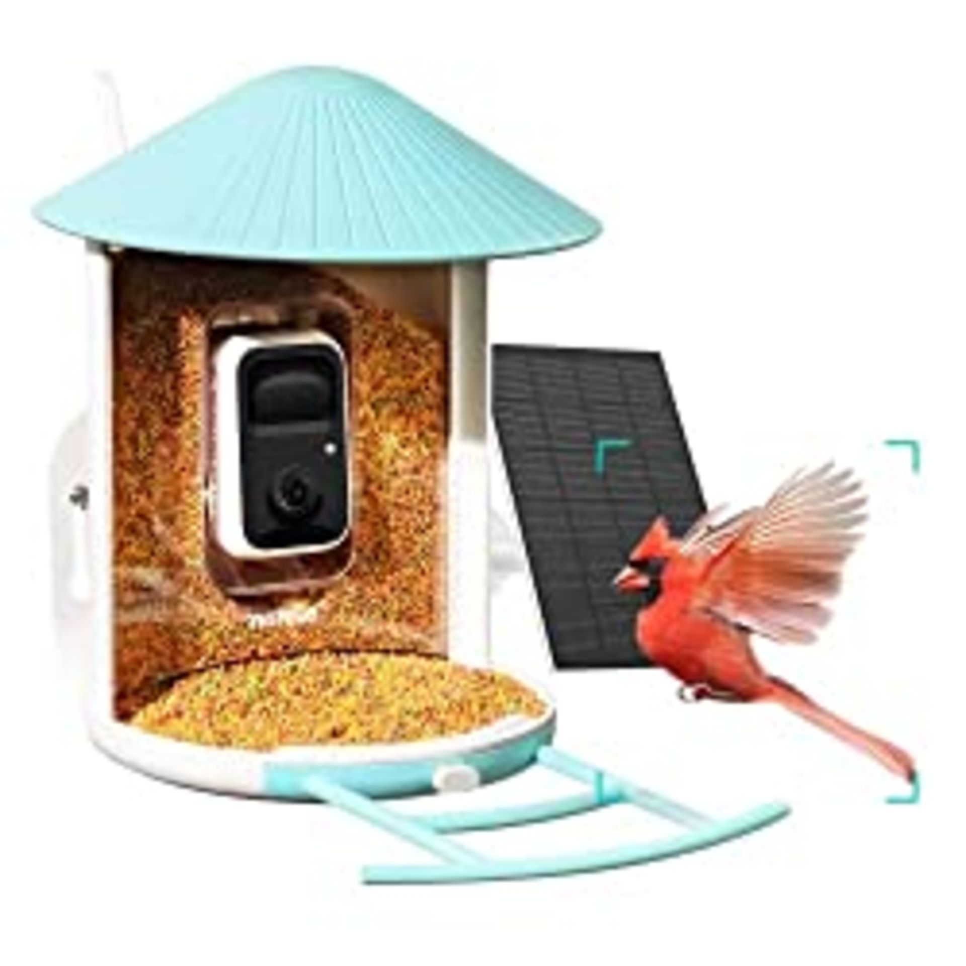 RRP £334.99 NETVUE Birdfy AI- Smart Bird Feeder Camera