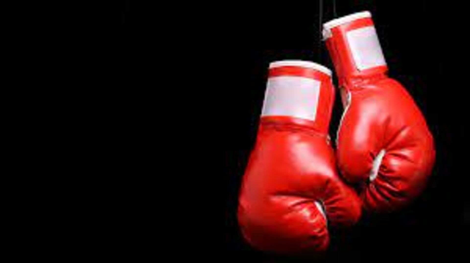 RRP £30.00 AQF Sports ES-01 Boxing Gloves
