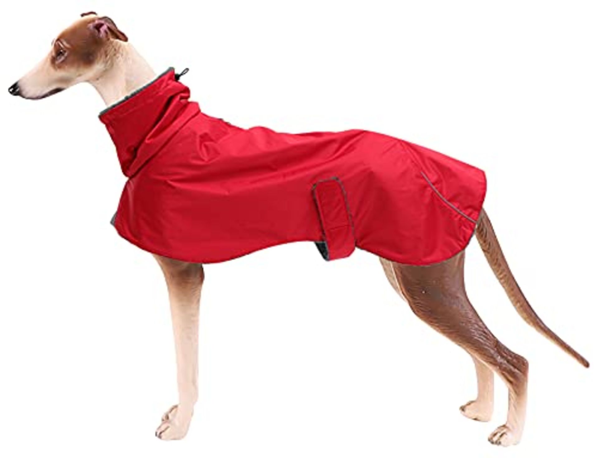 RRP £25.89 BRAND NEW STOCK Greyhound Lurcher Winter Coat