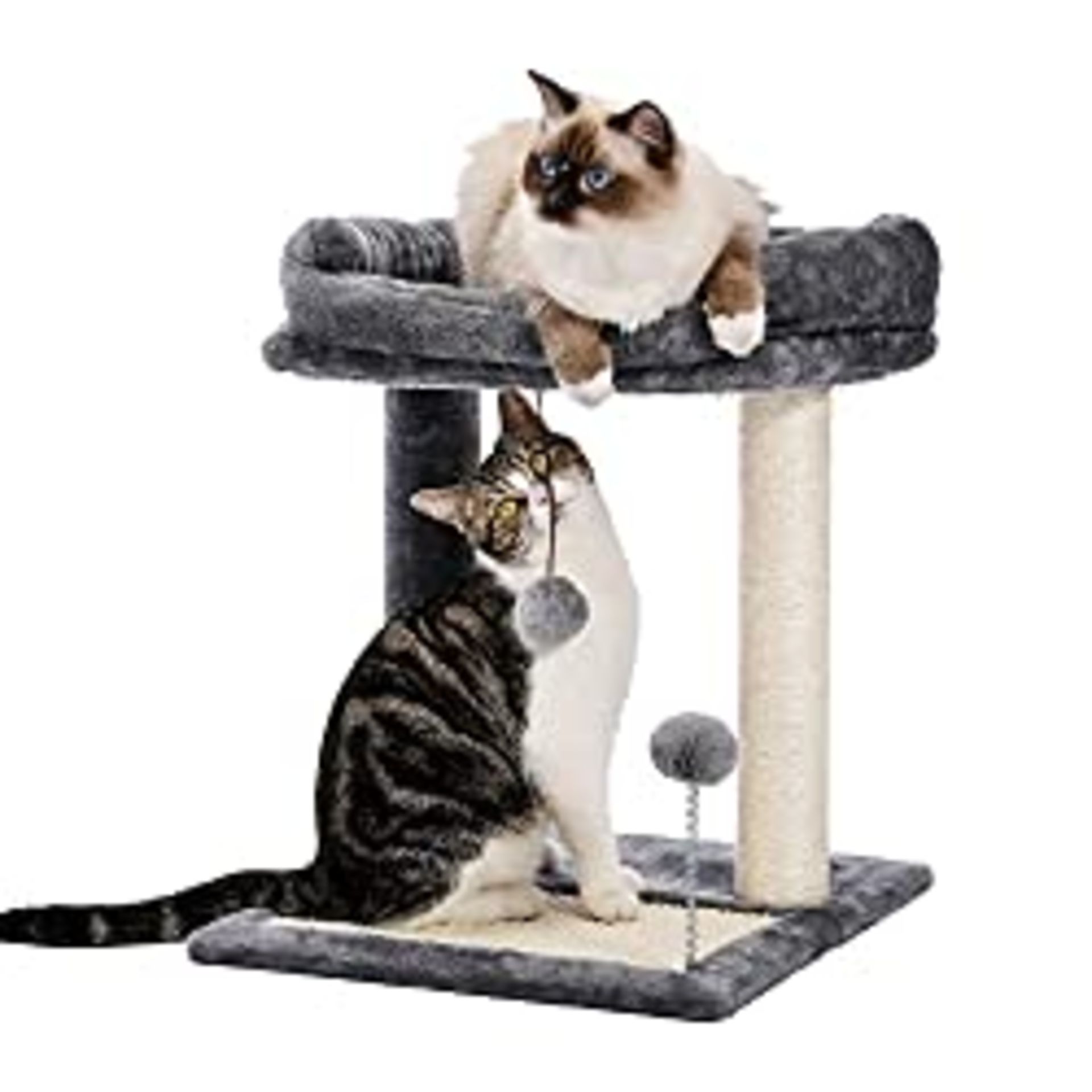 RRP £33.38 Amazon Brand Umi Cat Scratching Post and Cushion