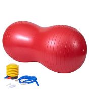 RRP £16.07 DumanAsen Exercise Ball with Pump