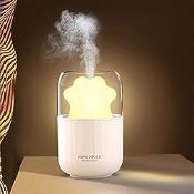 RRP £22.32 Mini Humidifiers for Bedroom Desktop Plant with Small