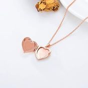 RRP £89.32 BRAND NEW STOCK SOULMEET Gold Filled Enamel Pink Rose Locket Necklace That Holds 2 Pictu