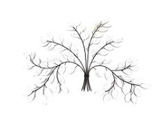 RRP £44.65 SK Classic Metal Wall Art - White Birch Tree