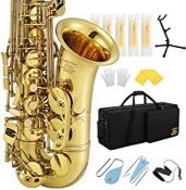 RRP £351.92 Eastar Professional Alto Saxophone E Flat Alto Saxophone