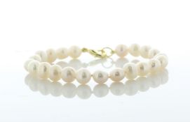 Freshwater Cultured 7.0 - 7.5mm Pearl Bracelet With Gold Plated Clasp - Valued By AGI £220.00 - 7.