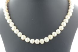 26 Inch Freshwater Cultured 7.0 - 7.5mm Pearl Necklace - Valued By AGI £300.00 - 7.0 - 7.5mm