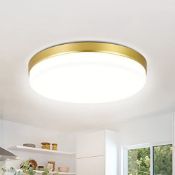 RRP £22.32 ASHUAQI Gold LED Ceiling Light