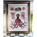 Large Vintage Print -Octopods-Professionally Framed