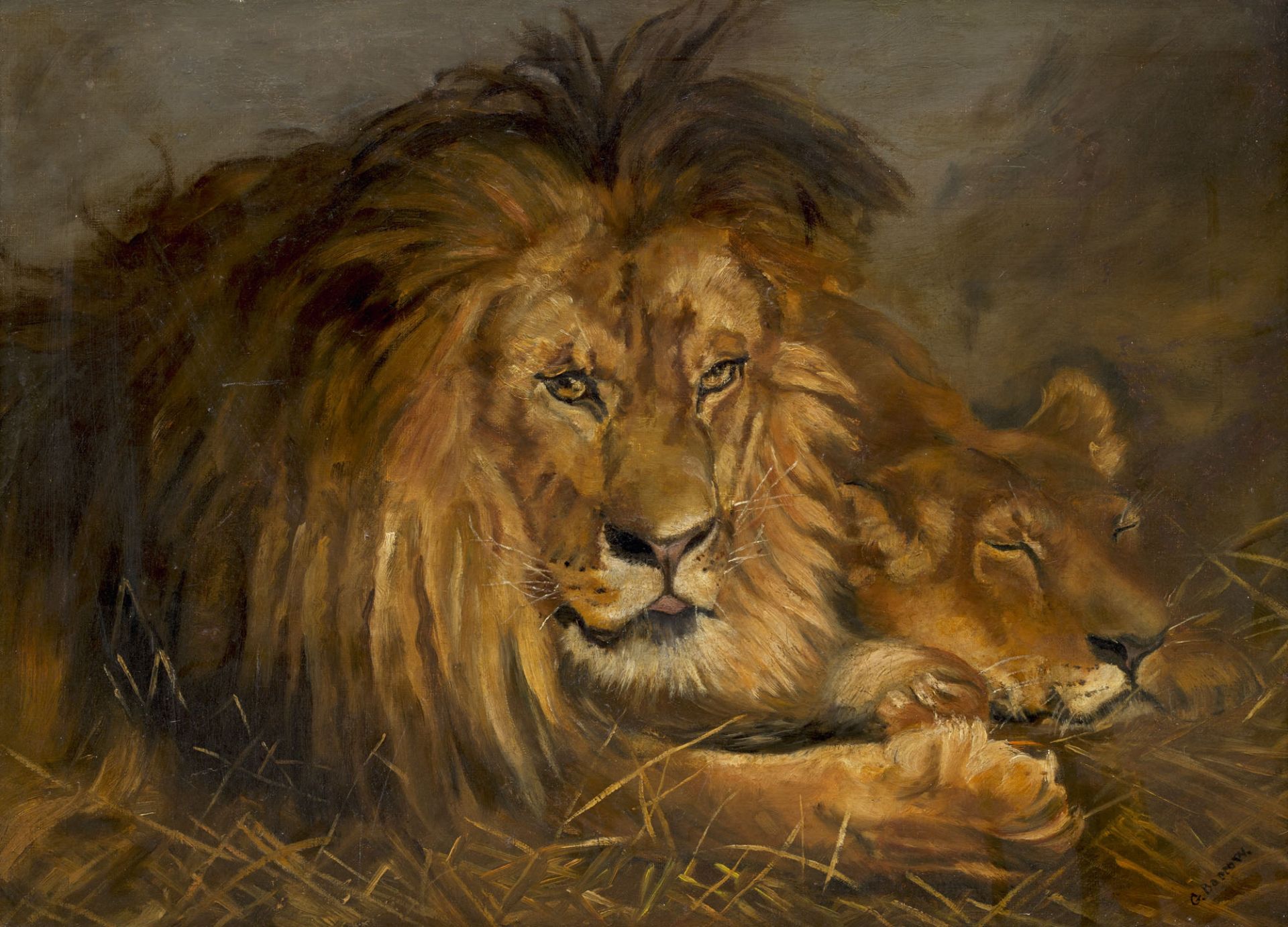 G. Barrow. Zwei Löwen im Gras. Öl auf