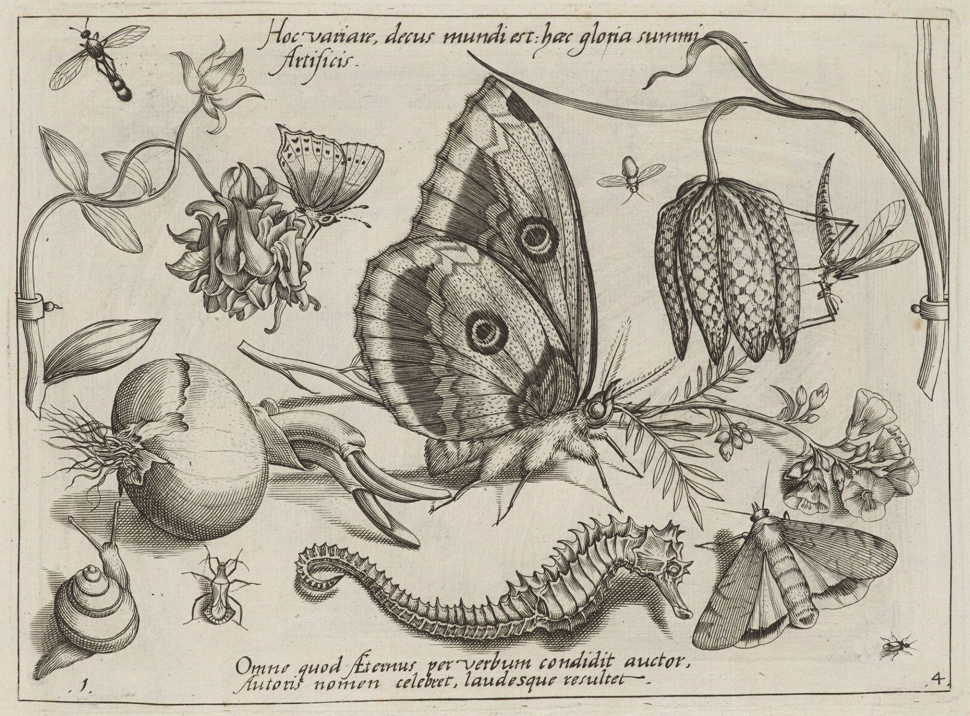 Emblemata - - Jakob Hoefnagel. - Image 4 of 5