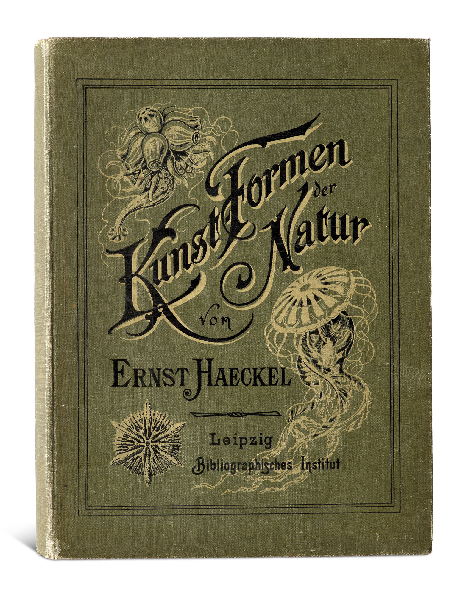 Jugendstil - - Ernst Haeckel. - Image 3 of 3