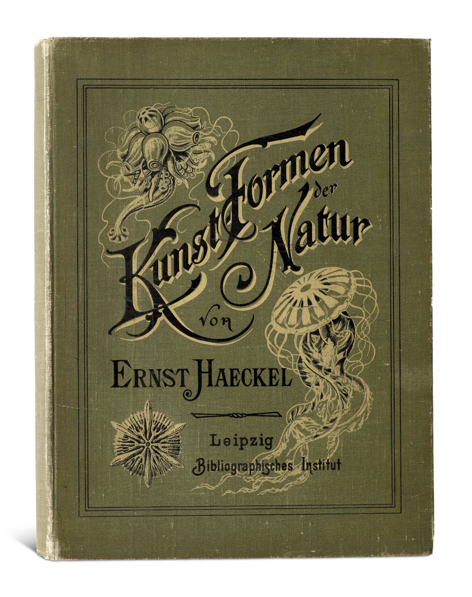 Jugendstil - - Ernst Haeckel. - Bild 3 aus 3