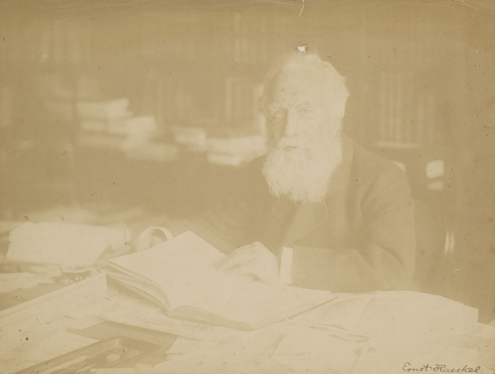 Ernst Haeckel - - Alfred Bischoff.