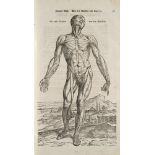 Medizin - Vesalius, Andreas - -