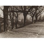 Josef Sudek. (1896 Kolin - 1976