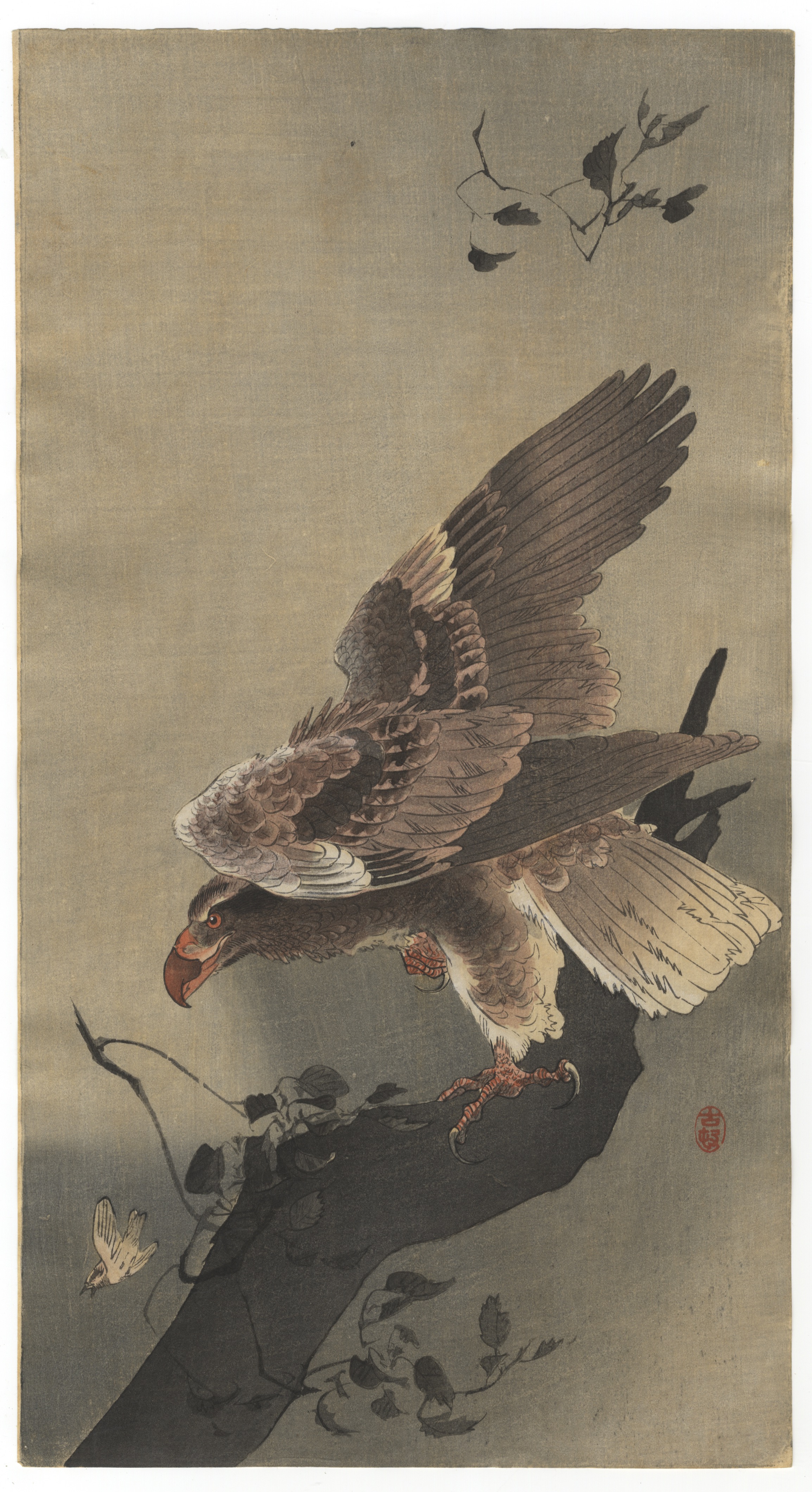 Koson Ohara, Eagle, Original Japanese Woodblock Print