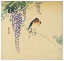 Koson, Barn Swallow, Wisteria, Original Japanese Woodblock Print