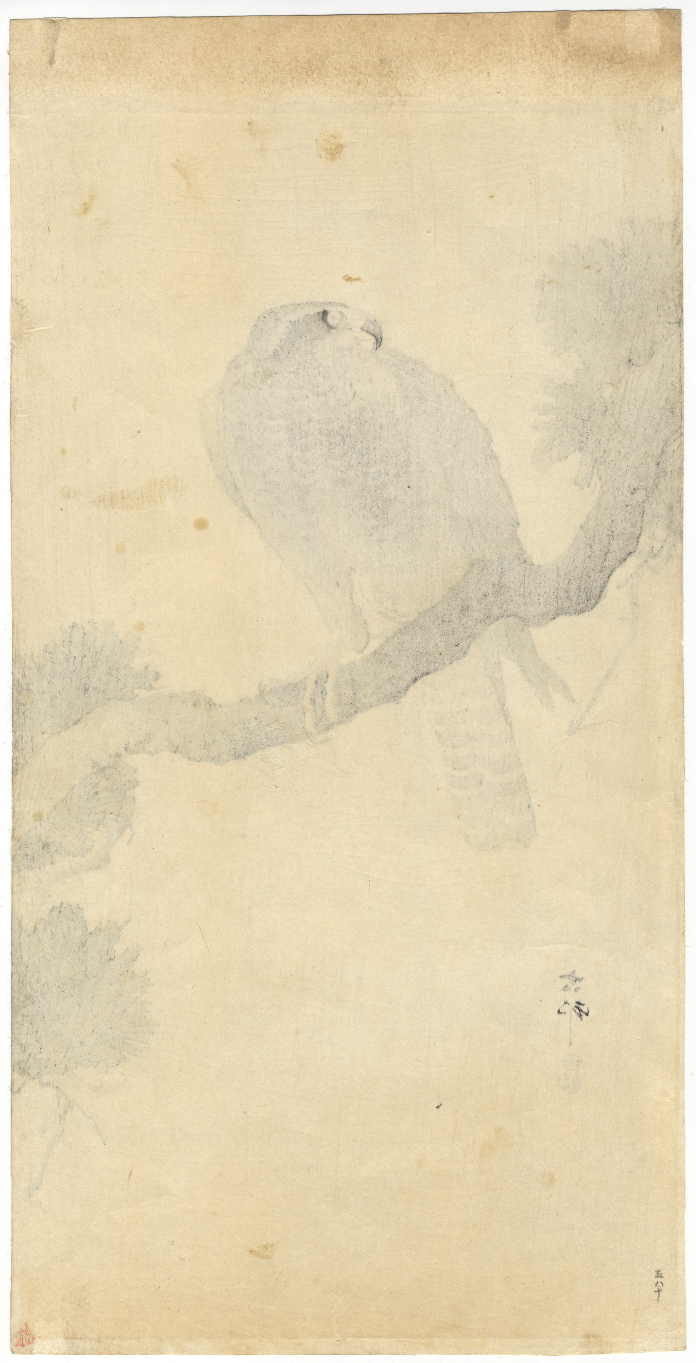 Ohara Koson, Goshawk, Pine, Original Japanese Woodblock Print - Image 2 of 2