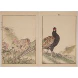 Keinen Imao, Pheasant, Original Japanese Woodblock Print