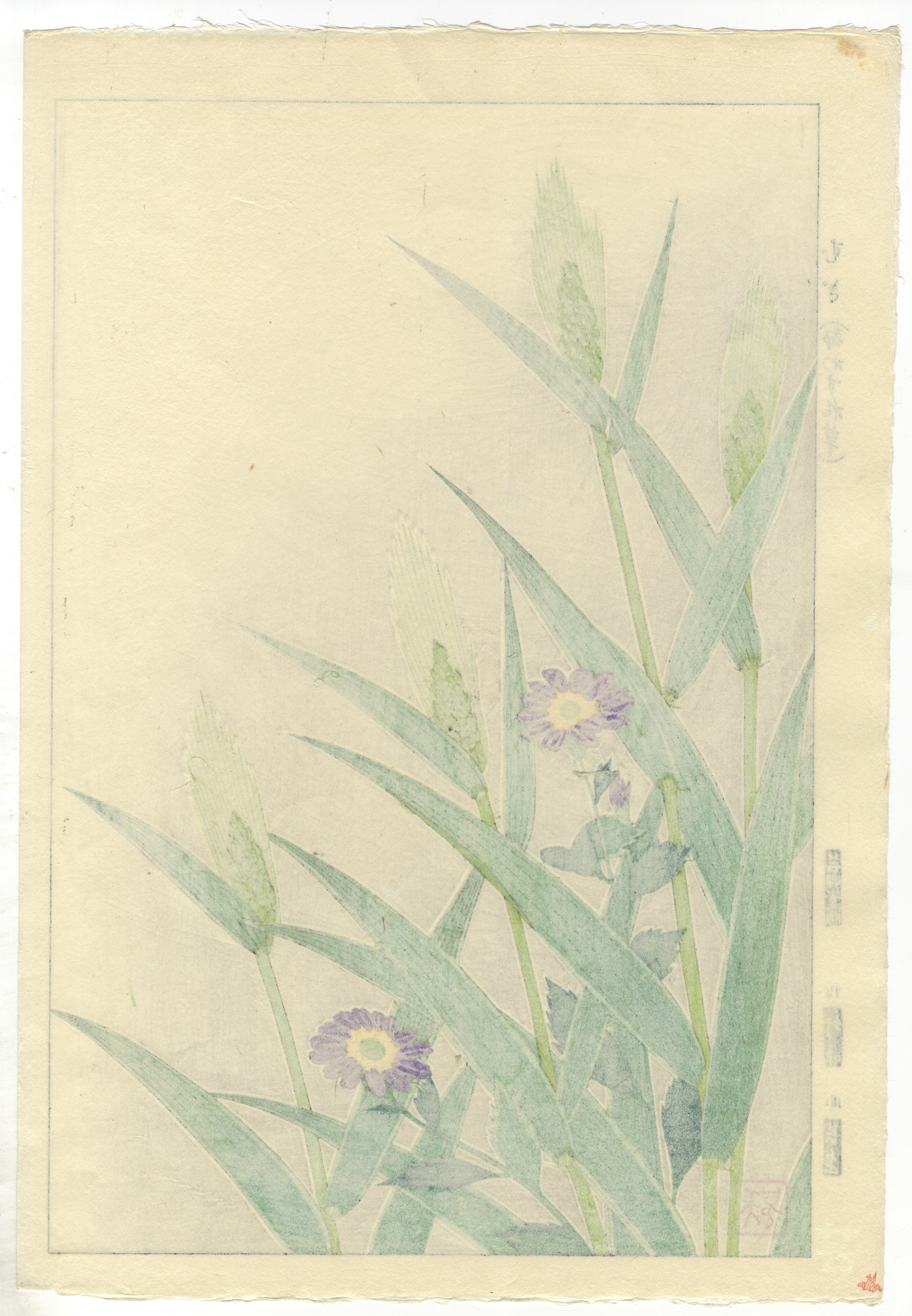 Shodo Kawarazaki, Forget-Me-Not and Barley, Original Japanese Woodblock Print - Image 2 of 2