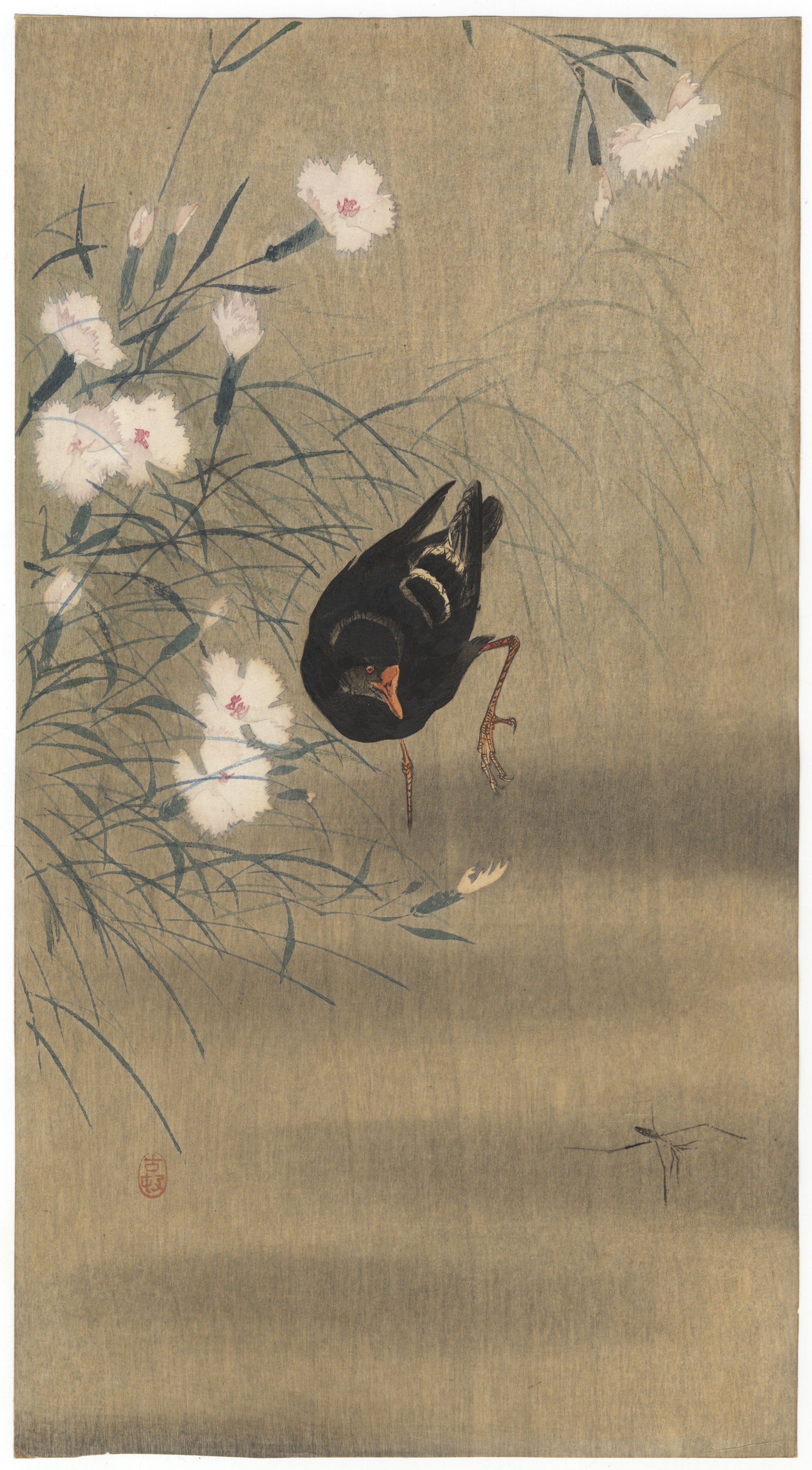  Koson Ohara, Gallinule, Original Japanese Woodblock Print