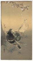 Koson Ohara, Pigeons, Original Japanese Woodblock Print